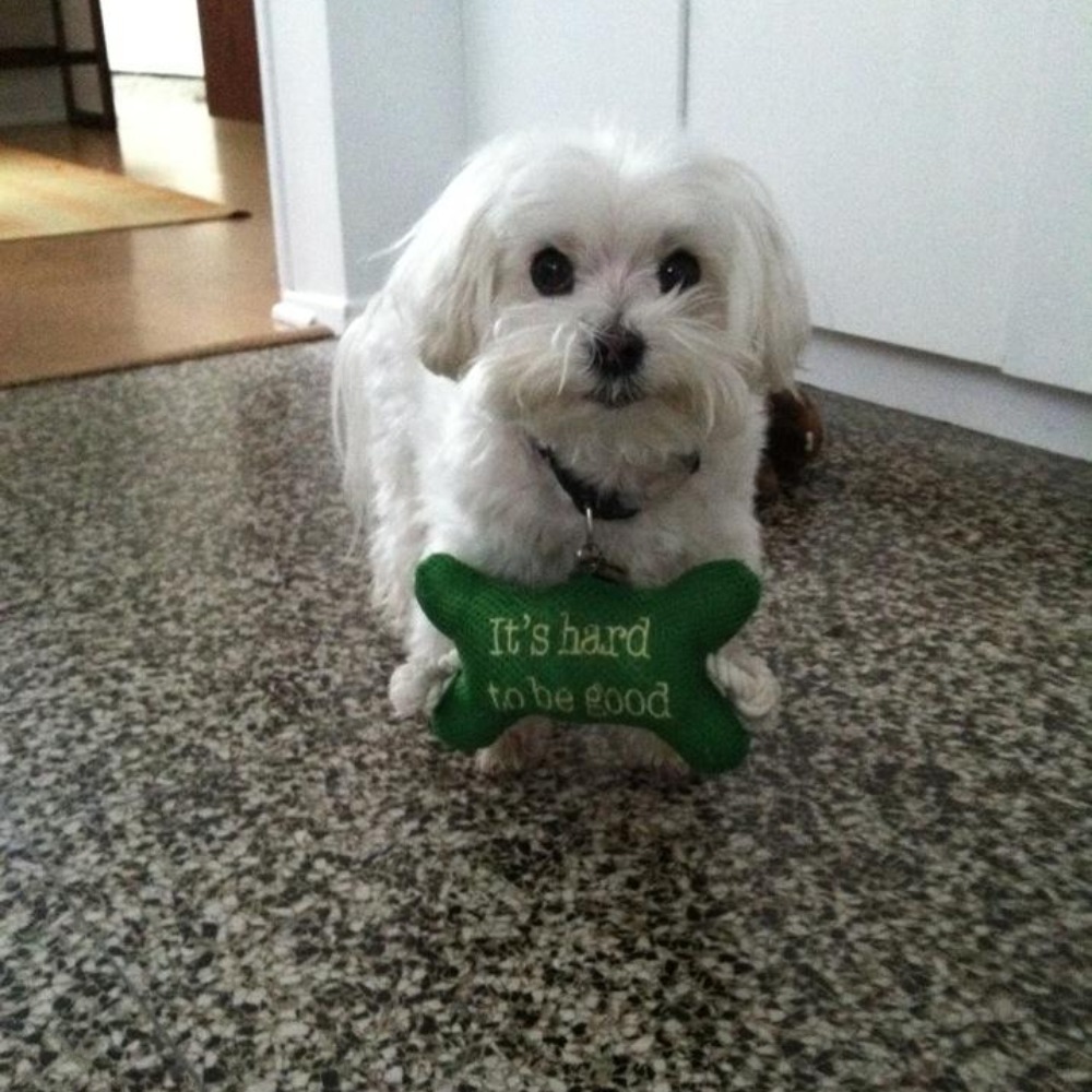 Meet your Posher, Jennifer